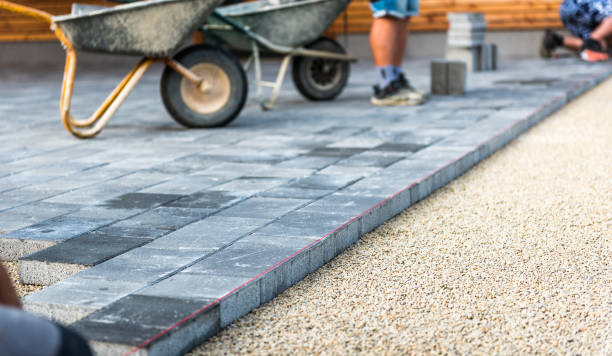 Best Driveway Paving Contractor  in Robbinsdale, MN