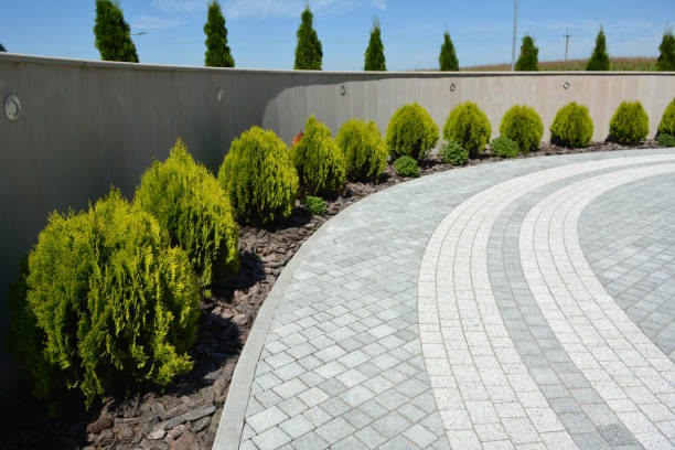 Reasons to Select Us for Your Driveway Paving Requirements in Robbinsdale, MN
